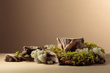 Doğal ahşap kaplamalı kompozisyon ve ekolojik ürünler için yosun. Ürününüzü bir kütüğe koyun. Kopyalama alanı olan bej arkaplan.