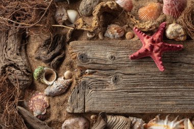 Sürüklenen deniz kabukları, taşlar ve kumla kaplanmış plaj temalı arka plan. Üst Manzara. Metninizi veya ürününüzü tahta bir tahtaya yerleştirin.