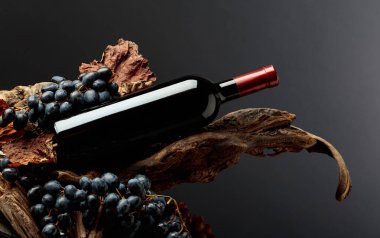 Üzümlü bir şişe kırmızı şarap ve eski ahşap parçalarında kurumuş asma yaprakları. Pahalı şarap üretimi kavramı. Boşluğu kopyala.