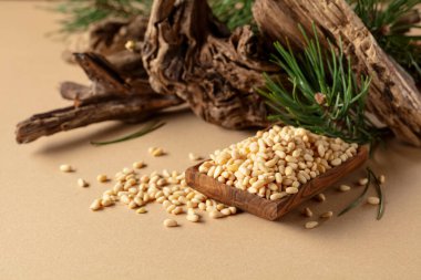 Çam fıstığı soyulmuş, sedir ağacı kurumuş ve yeşil dalları var. Bej bir arka planda ahşap tabakta çam fıstığı.