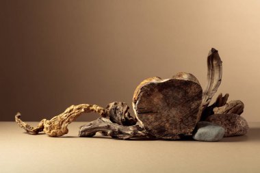 Doğal ahşap kaplamalı kompozisyon ve eko ürünlerin reklamları için kuru kütük. Kopyalama alanı olan bej arkaplan.