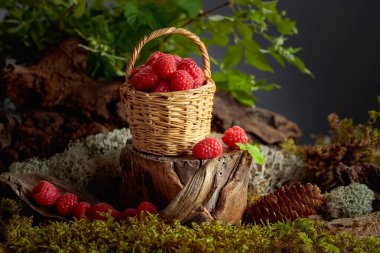 Ormandaki eski bir kütüğün üzerinde taze, olgun ahududularla dolu küçük bir sepet. Canlı kırmızı böğürtlenler sepetin içinde üst üste yığılır ve bazıları yüzeye dökülür..