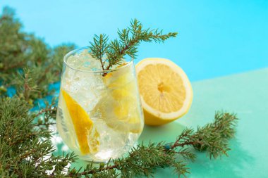 Ezilmiş buz ve limon dilimli cin tonik kokteyli. Yeşil-mavi arka planda ardıç dalları ile yaz ferahlatıcı içecek. Boşluğu kopyala.