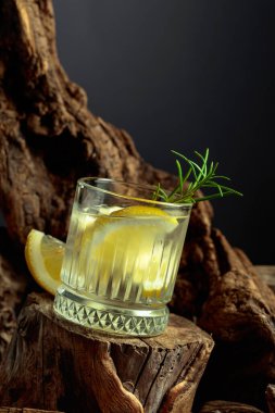 Limon dilimleri, buz ve ahşap bir kütükte biberiye ile cin tonik kokteyli. Sis bardağında soğuk, ferahlatıcı bir içecek. Boşluğu kopyala.