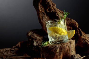 Limon dilimleri, buz ve ahşap bir kütükte biberiye ile cin tonik kokteyli. Sis bardağında soğuk, ferahlatıcı bir içecek. Boşluğu kopyala.