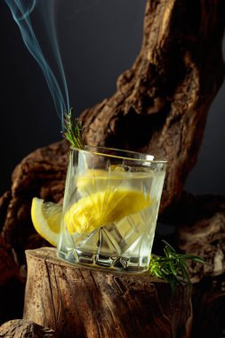 Kokteyl cini ve tonik eski bir kütüğün üzerinde buzun üzerinde. Limon dilimleri ve yanan biberiye filizi ile soğuk, ferahlatıcı bir içecek..