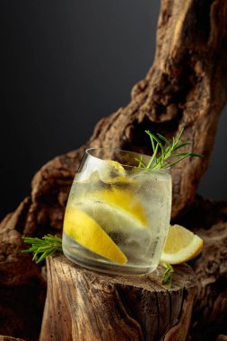 Limon dilimleri, buz ve ahşap bir kütükte biberiye ile cin tonik kokteyli. Sis bardağında soğuk, ferahlatıcı bir içecek. Boşluğu kopyala.
