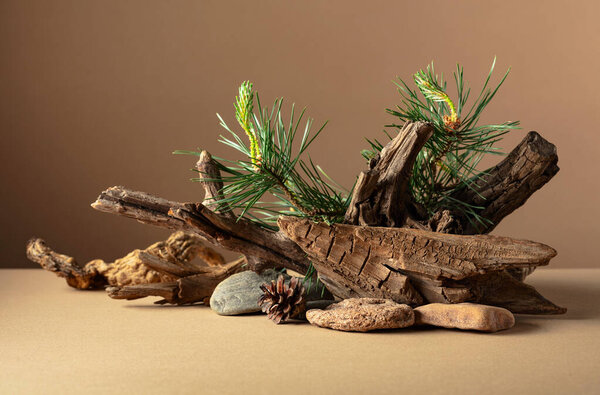 Abstract nature scene with a composition of pine branches, stones, and dry snags. Beige background for cosmetics, beauty product branding, identity, and packaging. Copy space.
