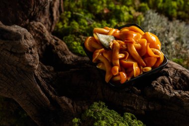 Siyah bir kasede ev yapımı ballı mantar turşusu. Ormanda salamura edilmiş mantarlar.