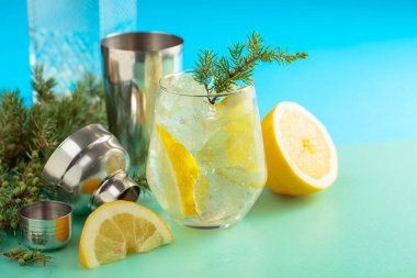 Ezilmiş buz ve limon dilimli cin tonik kokteyli. Yeşil-mavi arka planda ardıç dallarıyla serin, ferahlatıcı bir içecek. Boşluğu kopyala.