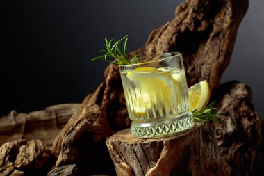 Limon dilimleri, buz ve ahşap bir kütükte biberiye ile cin tonik kokteyli. Sis bardağında soğuk, ferahlatıcı bir içecek. Boşluğu kopyala.