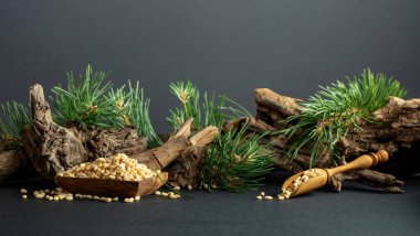 Çam fıstığı soyulmuş, sedir ağacı kurumuş ve yeşil dalları var. Siyah arka planda ahşap tabakta çam fıstığı.