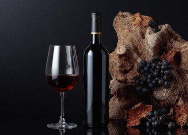 Şişe ve bir bardak kırmızı şarap. Arka planda kurumuş asma yapraklı eski asmalar ve üzümler var. Boşluğu kopyala.