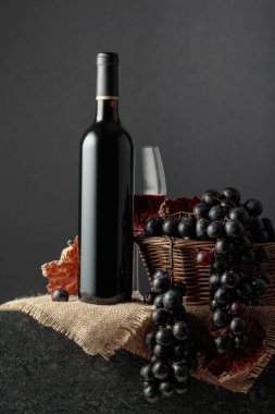 Juicy blue grapes and a bottle of red wine on a black background.