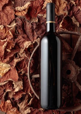 Bottle of red wine on the rusty wheel and dried-up vine leaves. Old expensive wine concept. Top view.
