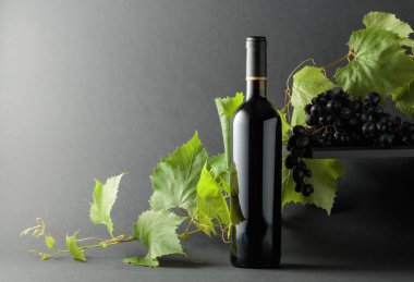 Mavi üzümlü bir şişe kırmızı şarap ve üzüm dalları. Boşluğu kopyala.