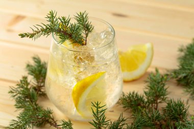 Ezilmiş buz ve limon dilimli cin tonik kokteyli. Hafif ahşap bir masada ardıç dallarıyla serinletici bir içecek..