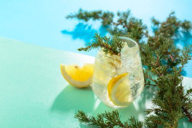 Ezilmiş buz ve limon dilimli cin tonik kokteyli. Yeşil-mavi arka planda ardıç dalları ile yaz ferahlatıcı içecek. Boşluğu kopyala.