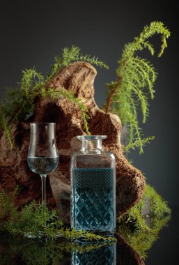 Siyah arka planda mavi cin. Arka planda ardıç dalları ve eski ağaç dalları var..