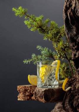 Eski bir tahtanın üzerinde kristal bardakta limonlu kokteyl cin toniği. Arka planda böğürtlen ve ardıç dalları.