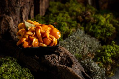 Siyah bir kasede ev yapımı ballı mantar turşusu. Ormanda salamura edilmiş mantarlar.