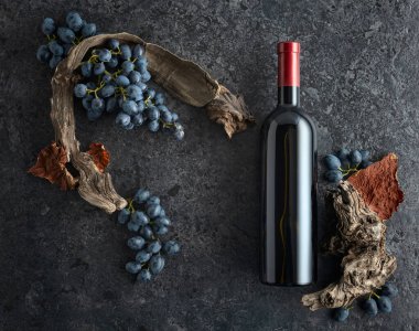 Bir şişe kırmızı şarap, mavi üzüm ve siyah taşlı arka planda eski asma parçaları. Üst Manzara. Boşluğu kopyala.