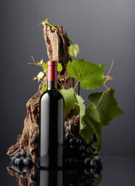 Mavi üzümlü bir şişe kırmızı şarap ve üzüm dalları. Boşluğu kopyala.