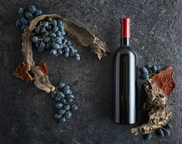 Bir şişe kırmızı şarap, mavi üzüm ve siyah taşlı arka planda eski asma parçaları. Üst Manzara. Boşluğu kopyala.