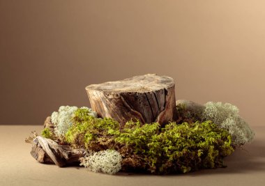 Doğal ahşap kaplamalı kompozisyon ve ekolojik ürünler için yosun. Ürününüzü bir kütüğe koyun. Kopyalama alanı olan bej arkaplan.