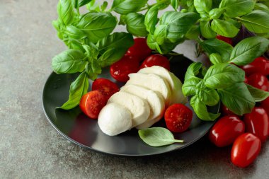 Vişne domatesli Mozzarella peyniri ve siyah tabakta fesleğen..