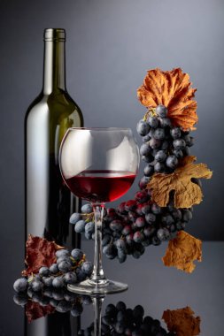 Siyah yansıtıcı arka planda mavi üzümlü kırmızı şarap. Boşluğu kopyala.