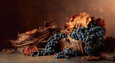 Mavi üzümler kuru demet ve kurumuş asma yaprakları kahverengi bir kırsal arka planda. Boşluğu kopyala.