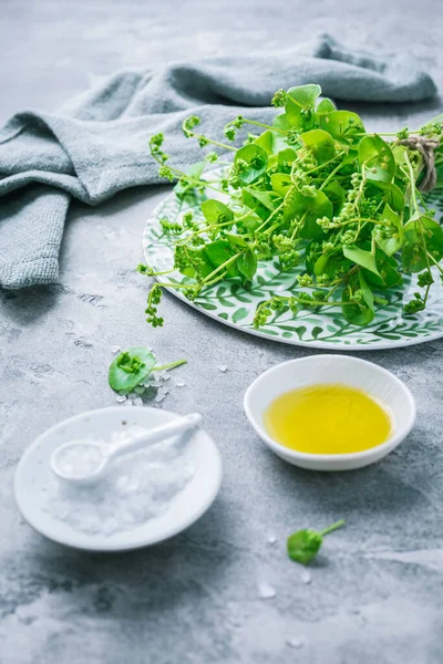 Winterportulak Indischer Salat Mit Olivenöl Und Salz Perfolienblättriger Frosch — Stockfoto