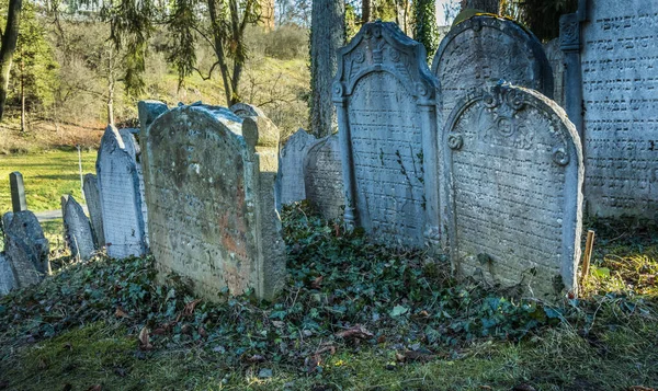Old Jewish Cemetery Trebic Czech Republic Established 17Th Century Included — Foto Stock