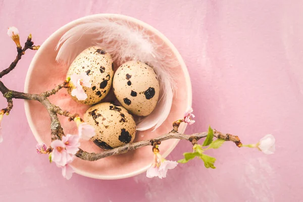 Easter eggs and pink flowers on pink background. Easter, and spring concept