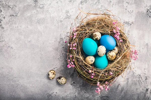 Happy Easter - nest with Easter eggs on grey background with copy space