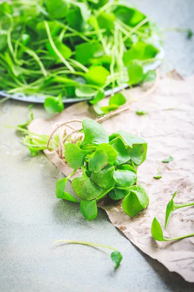 Kış Purslane Hint Marulu Çiğ Salata Yemek Pişirmek Için Sağlıklı — Stok fotoğraf