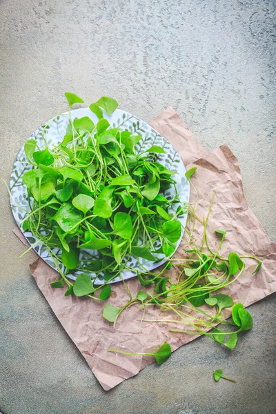 Winterportulak Indischer Salat Gesundes Grünes Gemüse Für Rohe Salate Und — Stockfoto