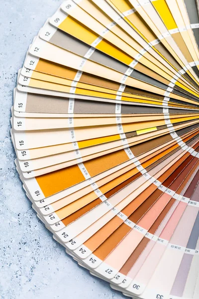 Guida Tavolozza Colori Industriale Del Catalogo Campioni Vernice Sfondo Grigio — Foto Stock