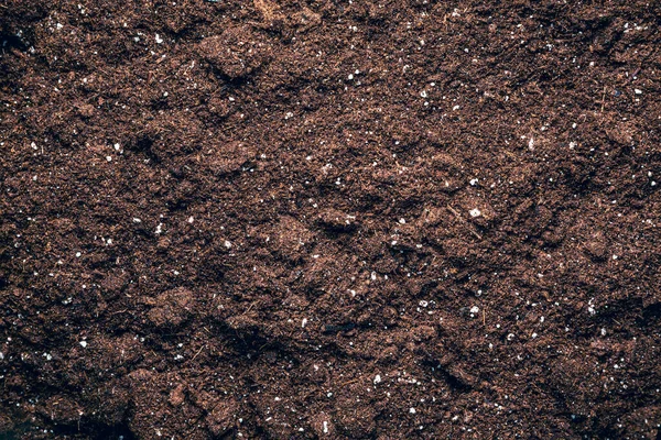 Textured Fertile Soil Background Gardening Planting Season — Stock Photo, Image