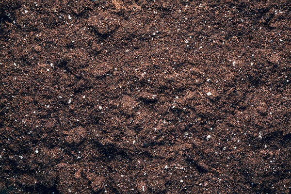 Textured fertile soil as background. Gardening and planting season.