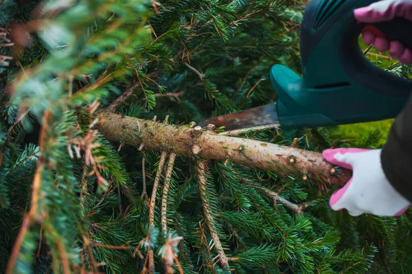 Gartenarbeit Herbst Und Winter Teenager Sägt Alten Weihnachtsbaum Mit Motorsäge — Stockfoto