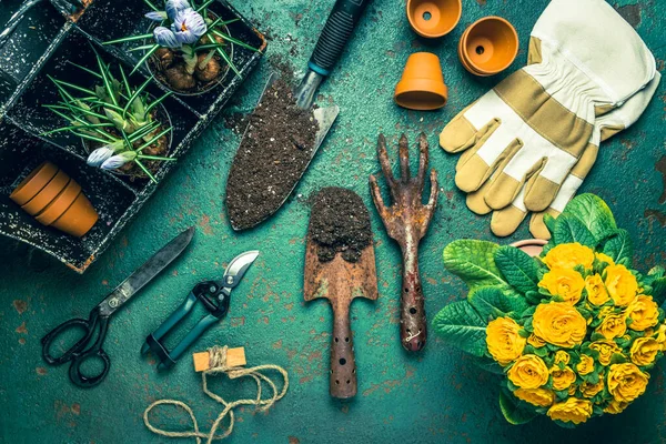 Концепція Весняного Садівництва Інструменти Садівництва Рослинами Вазонами Грунтом — стокове фото