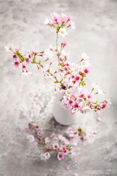 Tavaszi Hangulat Cseresznyevirág Konyhaasztalon — Stock Fotó