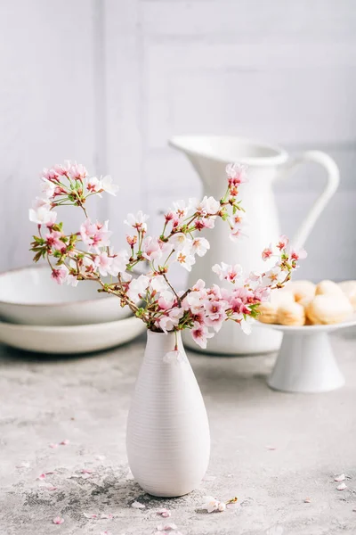 Spring Feeling Cherry Blossom Branch Sweet Macarons Mothers Day — Stock Photo, Image