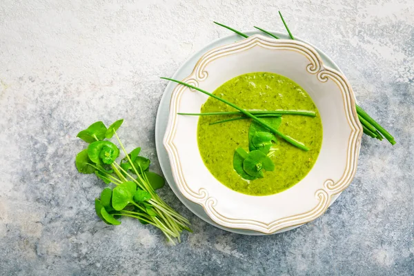 Healthy Green Soup Fresh Spring Plants Herbs Winter Purslane Chives — Stock Photo, Image