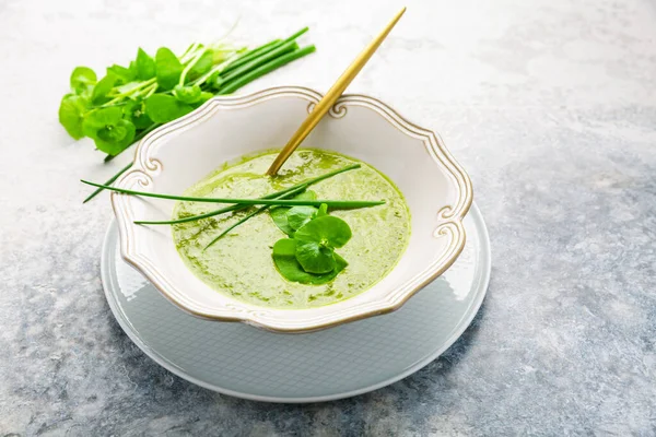 Healthy Green Soup Fresh Spring Plants Herbs Winter Purslane Chives — Stock Photo, Image