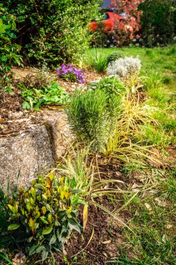 Çeşit çeşit bitkilerle güzel bir bitki bahçesi.