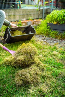 Bahçe bakımı, çimenleri biçmek, bahçedeki çimenleri havalandırmak ve süslemek. Eski otları ve yosunları temizleyerek çimlerin kalitesini arttırmak.