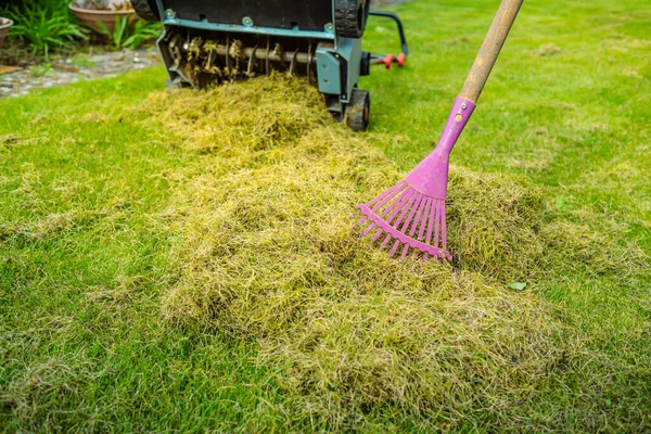 Lawn Care Verticut Thatch Grass Aerating Scarifying Lawn Garden Βελτίωση — Φωτογραφία Αρχείου